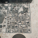 Warhammer Fantasy Karl Franz on Deathclaw AV240