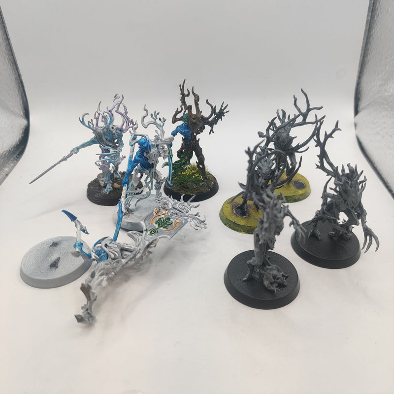 Age of Sigmar Sylvaneth Tree Revenants and Dryads AA048-0326