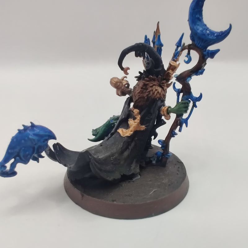 Age of Sigmar Gloomspite Gitz Skragrott the Loon King - Painted AI222