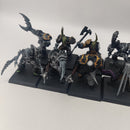 Warhammer the Old World Warriors of Chaos Forsaken x12 BC031