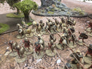 Wargames Foundry Ancient Greeks Spartan Army Beautifully Painted   (BE008)