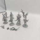 Age of Sigmar Hedonites of Slaanesh Daemonettes x10 BA004-0411