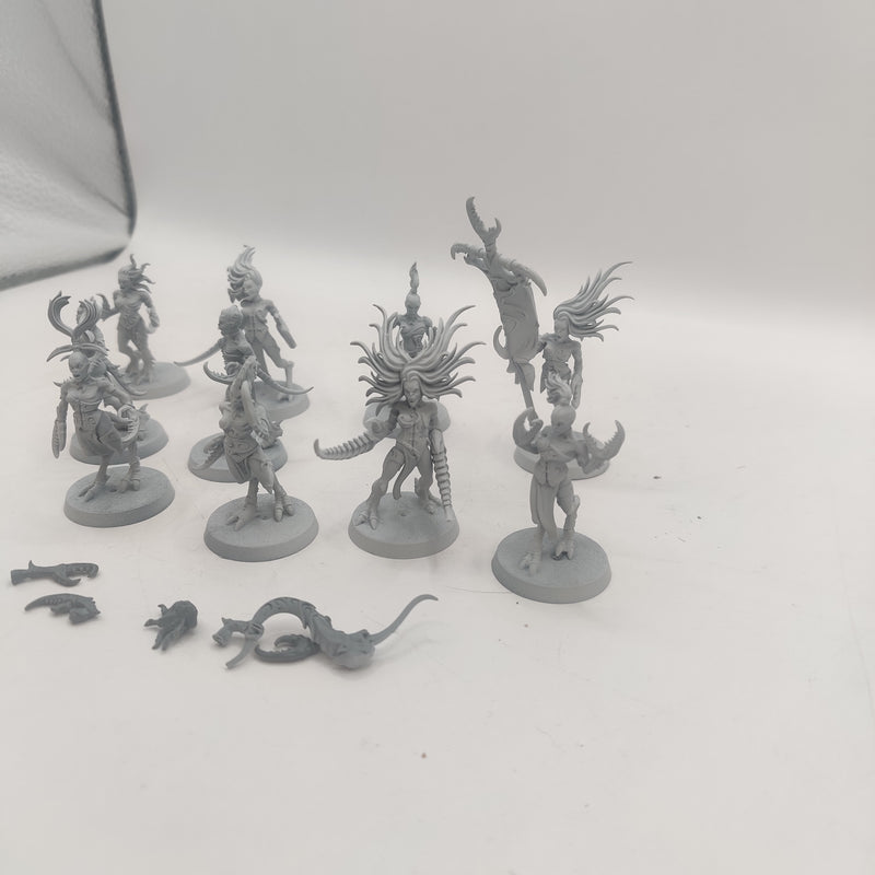 Age of Sigmar Hedonites of Slaanesh Daemonettes x10 BA004-0411