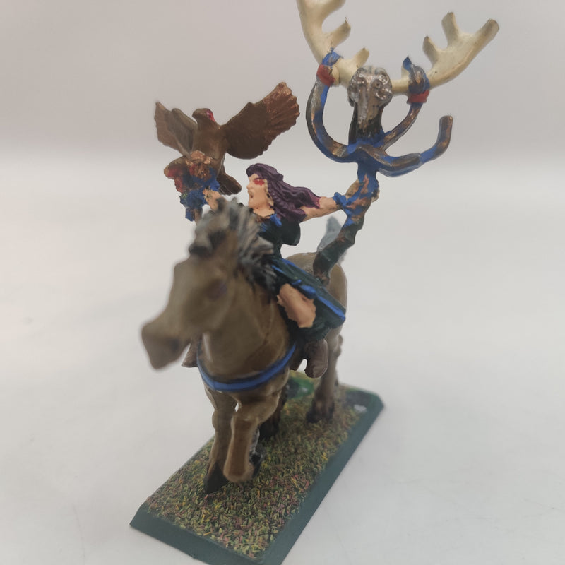 Warhammer Fantasy Wood Elf Spellsingers and Wizard on Horse AT128