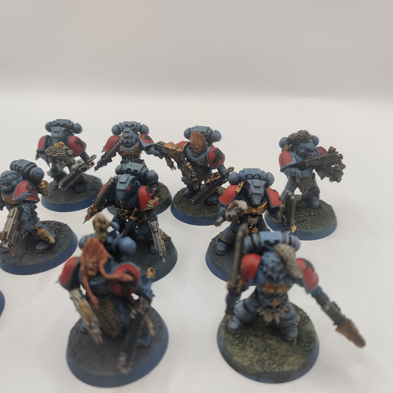 Warhammer 40k Space Wolves Blood Claws - Painted AW206