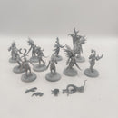 Age of Sigmar Hedonites of Slaanesh Daemonettes x10 BA004-0411