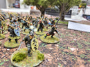 Well Painted Saga Viking Army  (BE006)
