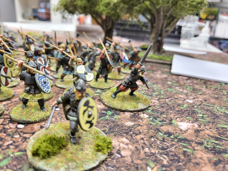 Well Painted Saga Viking Army  (BE006)