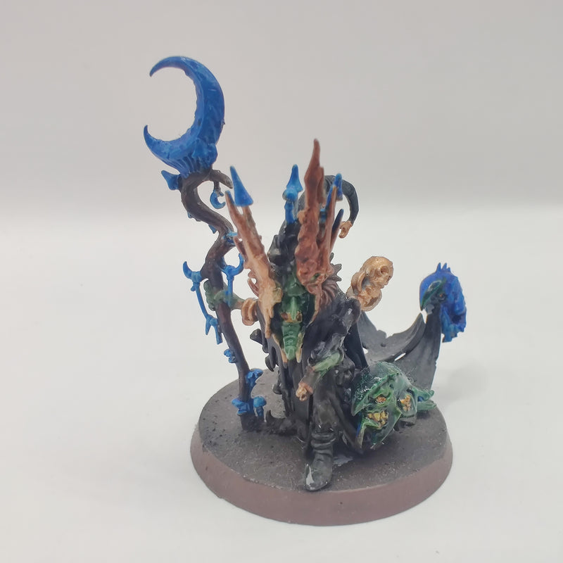 Age of Sigmar Gloomspite Gitz Skragrott the Loon King - Painted AI222