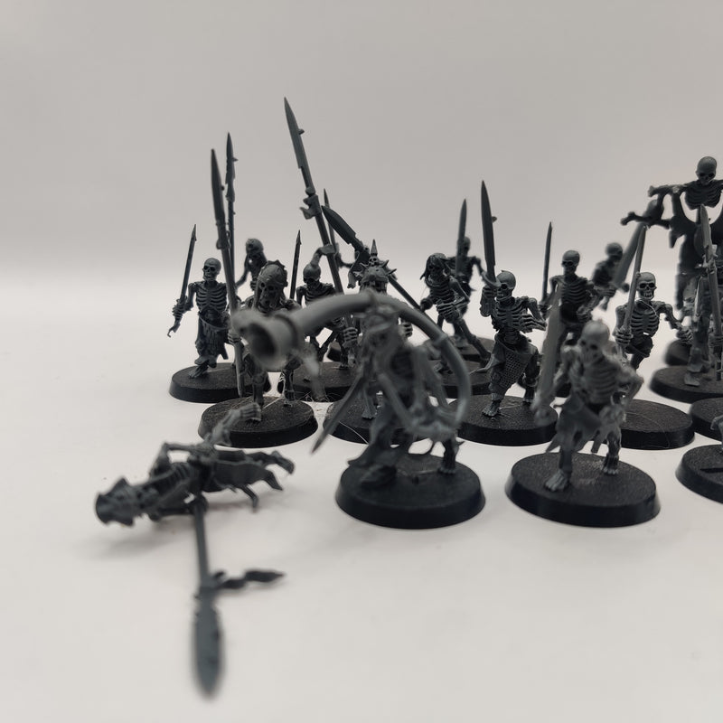 Age of Sigmar Soulblight Gravelords Skeleton Warriors x20 - OOP AP011