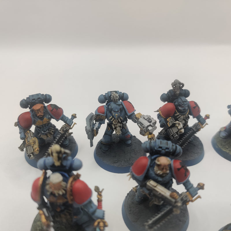 Warhammer 40k Space Wolves Blood Claws - Painted AA107