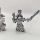 Warhammer 40k Dark Angels Company Master and Veteran Sergeant - Dark Vengeance AI221