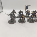 Age of Sigmar Stormcast Eternals Vindictors x10 AM003-0411
