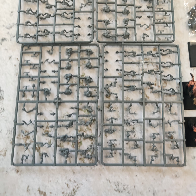 Warhammer the Old World Vampire Counts Batallion - Damaged AV147