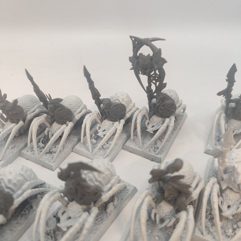 Warhammer Fantasy Night Goblin Spider Riders x12 AJ085