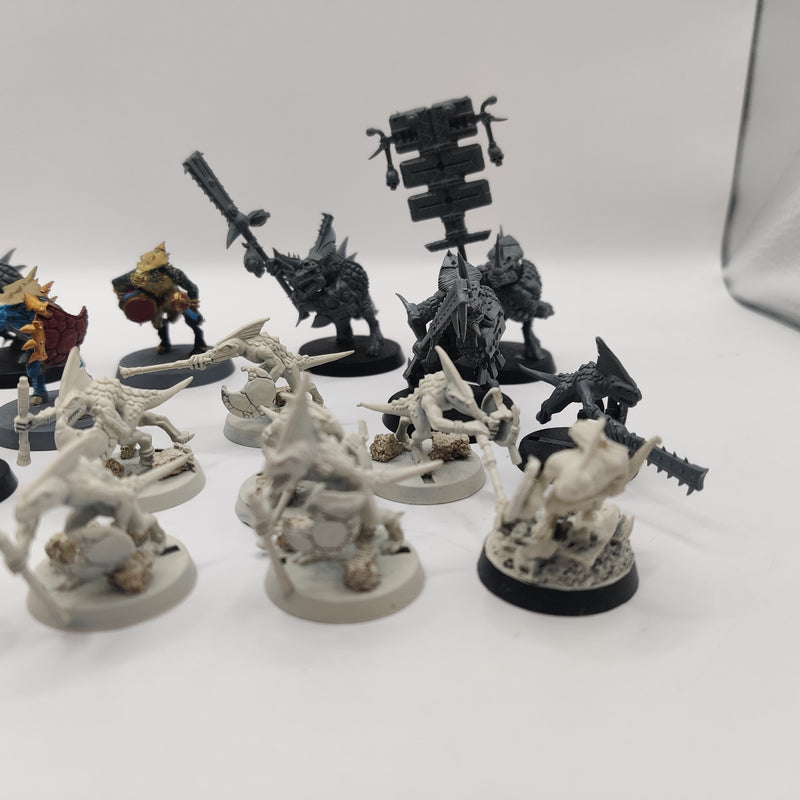 Age of Sigmar Seraphon Skinks and Saurus Bundle AI202