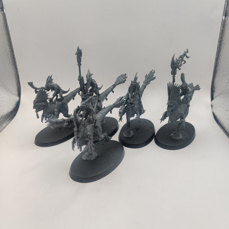 Age of Sigmar Seraphon Raptadon Hunters CAB1008-0327