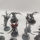 Age of Sigmar Hedonites of Slaanesh Slaangor Fiendbloods and Daemonettes AE001-0411