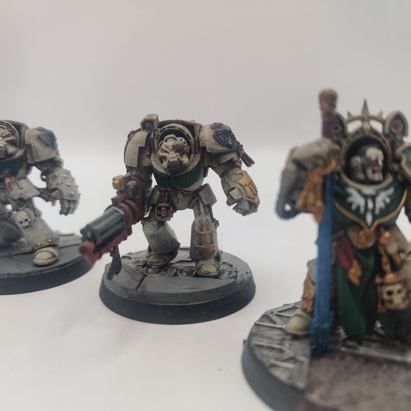 Warhammer 40k Dark Angels Deathwing Terminators - Painted AA091