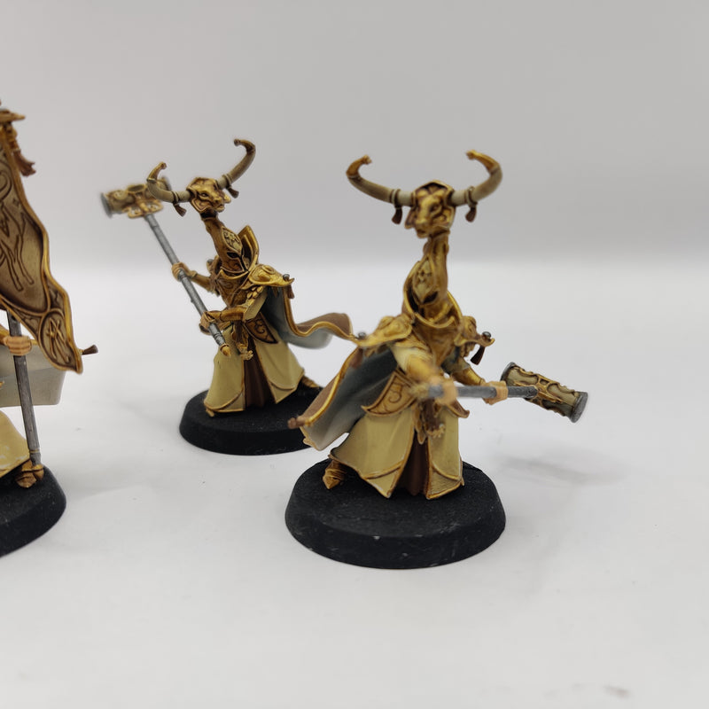 Age of Sigmar Lumineth Realm-Lords Alarith Stoneguard - Painted AF058