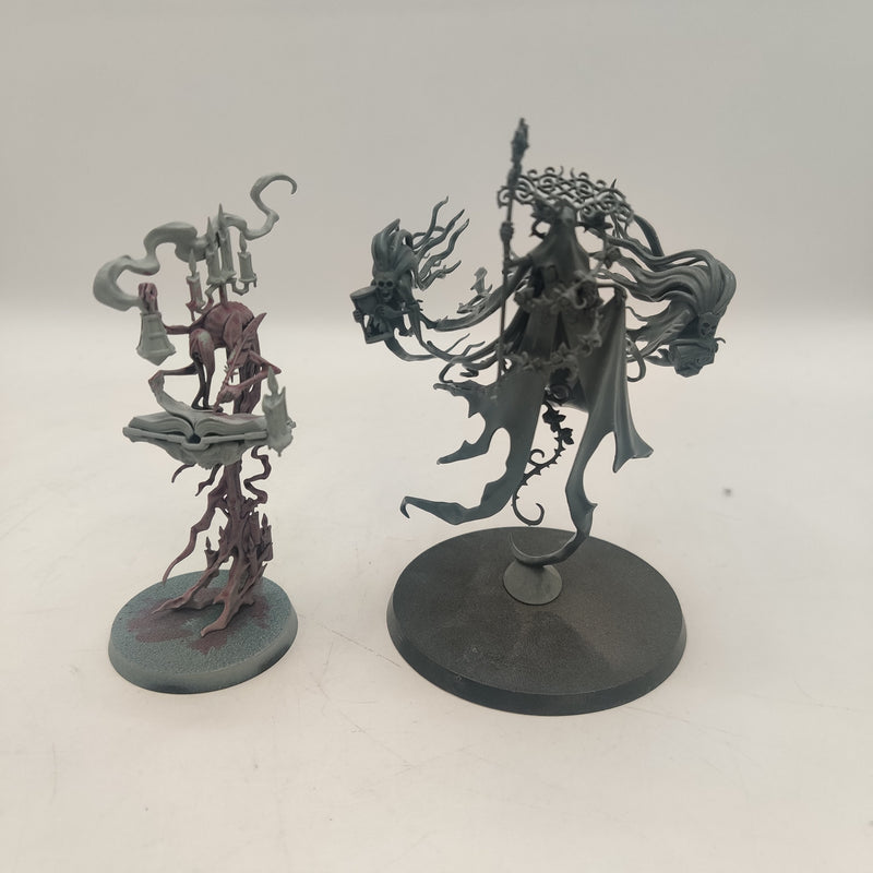 Age of Sigmar Nighthaunt Lady Olynder and Scriptor Mortis AH029-0315