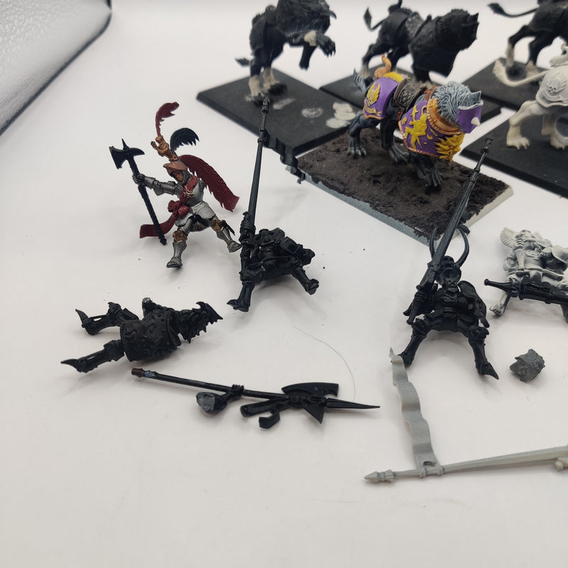 Warhammer the Old World Empire Demigryph Knights x5 AX061