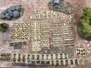Giant Ancient Historical Biblical era Army Painted 15mm Scale (BE001)