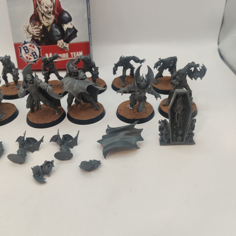 Blood Bowl Vampire Team with Cards AE024