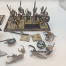 Warhammer Fantasy Vampire Counts Bundle Winged Vampire and Wight King BA193
