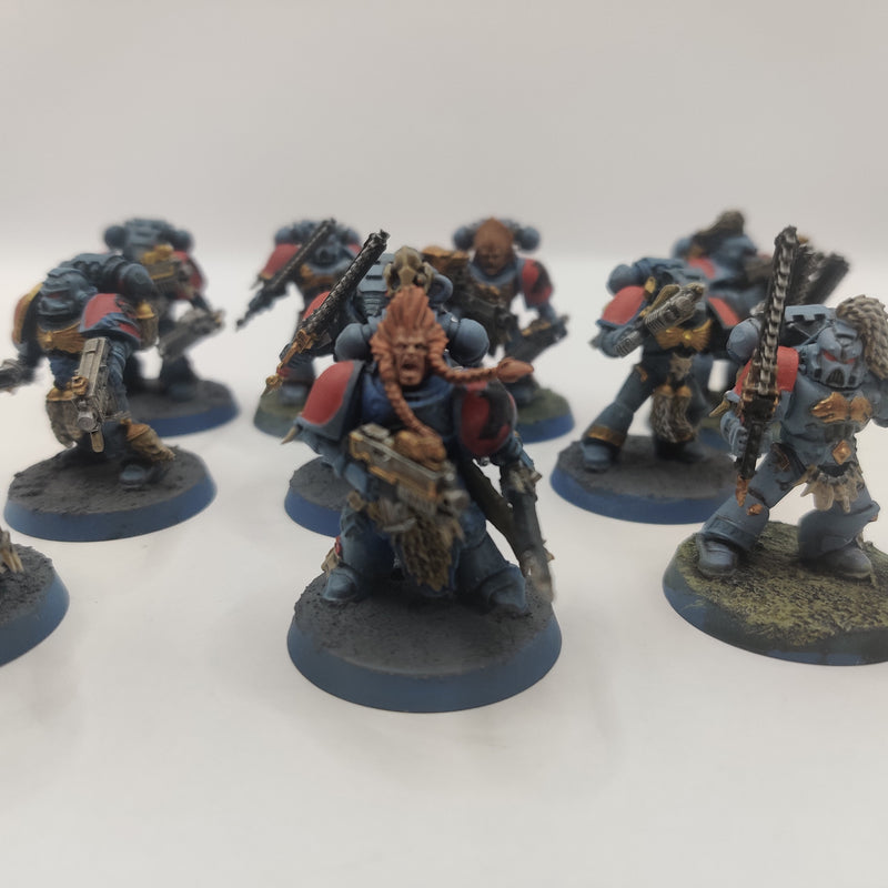 Warhammer 40k Space Wolves Blood Claws - Painted AW206