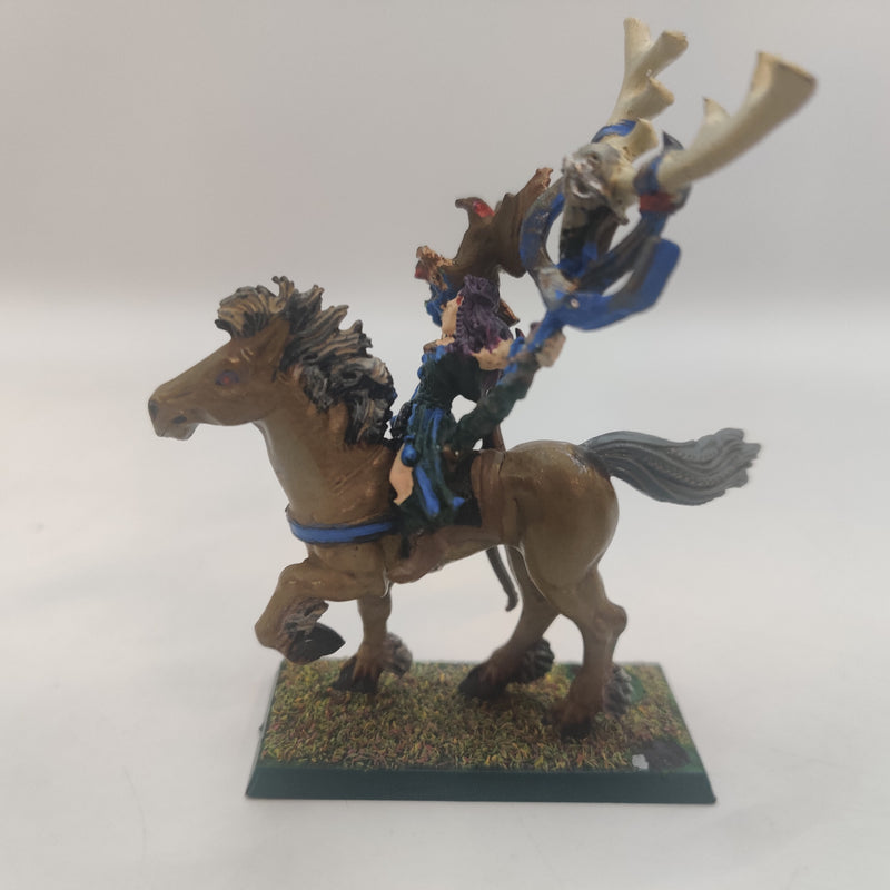 Warhammer Fantasy Wood Elf Spellsingers and Wizard on Horse AT128