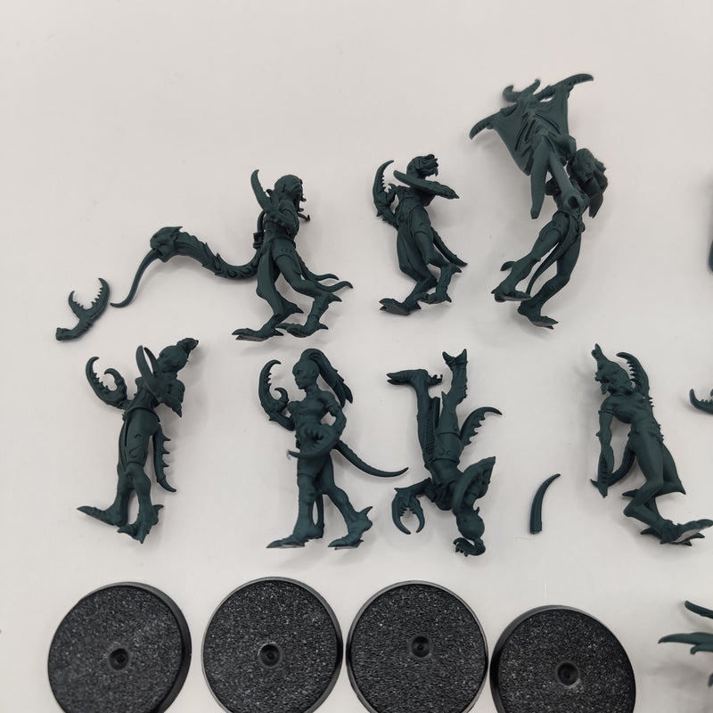 Age of Sigmar Hedonites of Slaanesh Daemonettes AJ118