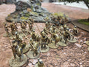 Wargames Foundry Ancient Greeks Army Beautifully Painted   (BE007)