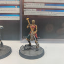 Marvel Crisis Protocol Shuri and Okoye - Painted AU025