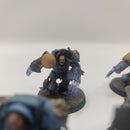 Warhammer 40k Space Wolves Wolf Guard Terminators with Lightning Claws - Painted AQ004