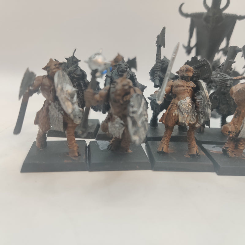 Warhammer Fantasy Beasts of Chaos Gor Regiment BA162