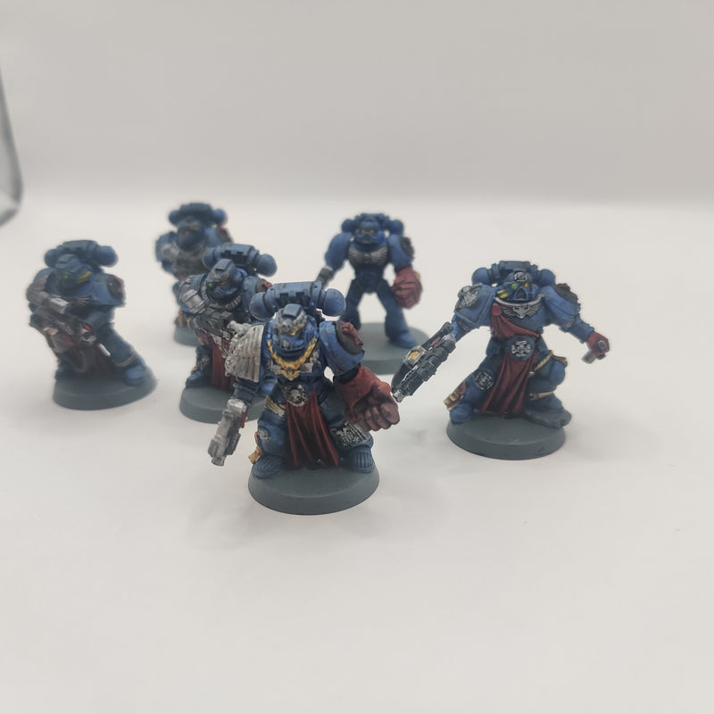 Warhammer 40k Crimson Fists Sternguard Veteran Squad - OOP Painted AD061