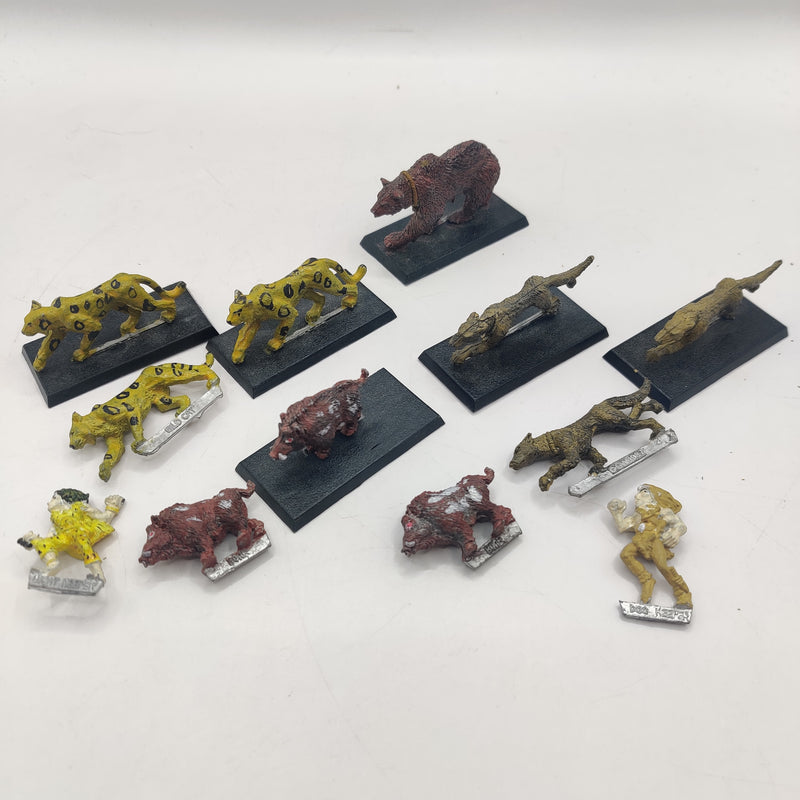 Citadel Warhammer Fantasy Elf Animal Keeper Bundle