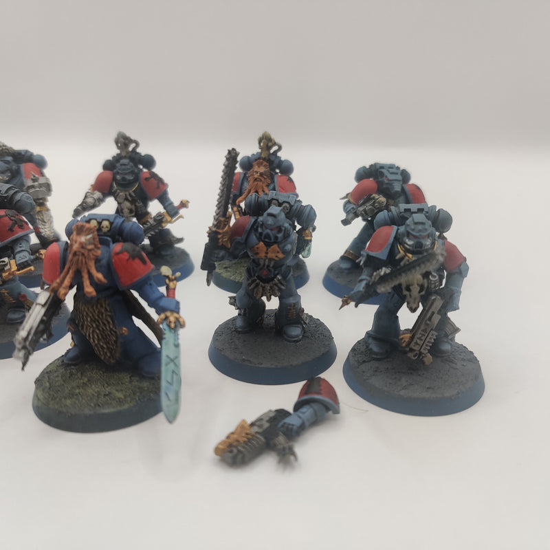 Warhammer 40k Space Wolves Blood Claws - Painted AA107