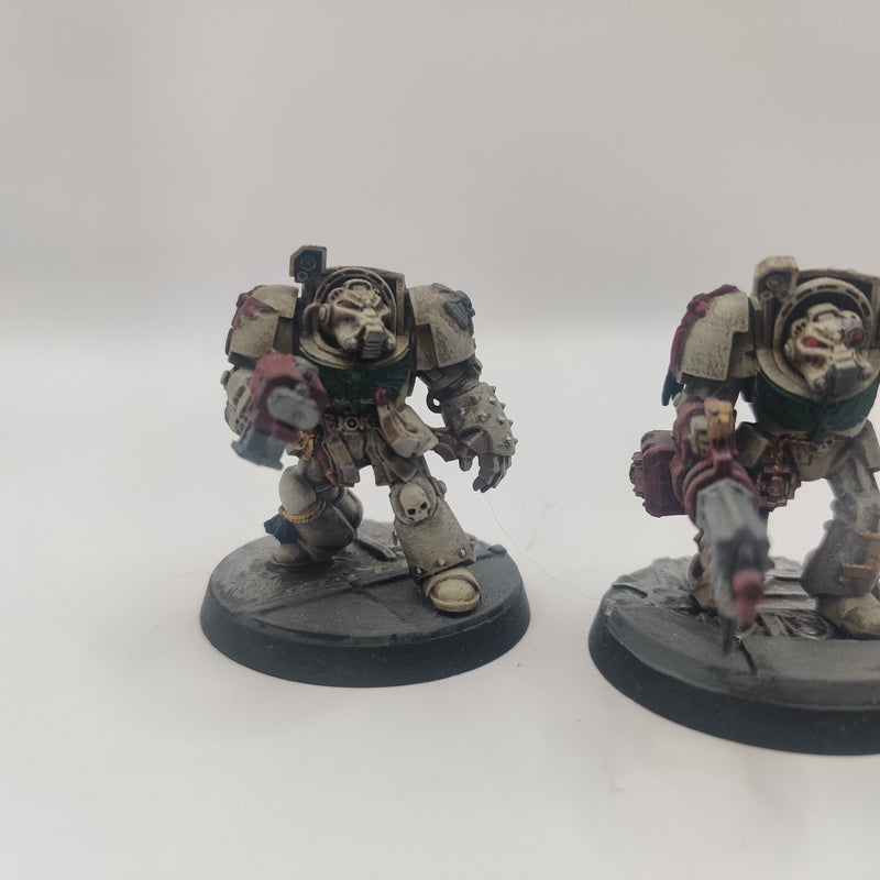 Warhammer 40k Dark Angels Deathwing Terminators - Painted AA091