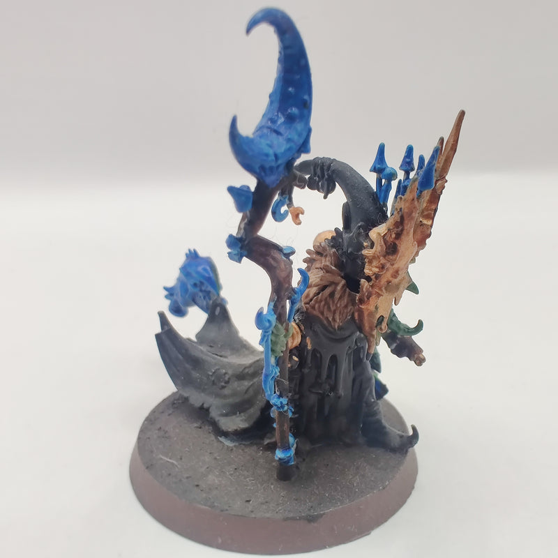 Age of Sigmar Gloomspite Gitz Skragrott the Loon King - Painted AI222