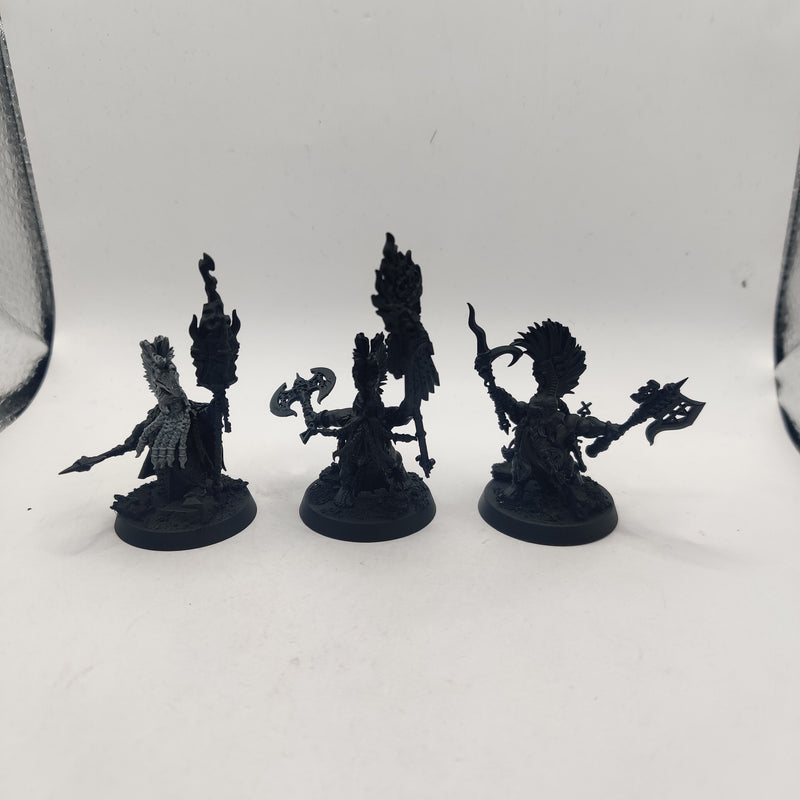 Age of Sigmar Fyreslayers Runemaster, Doomseeker and Battlesmith AT029