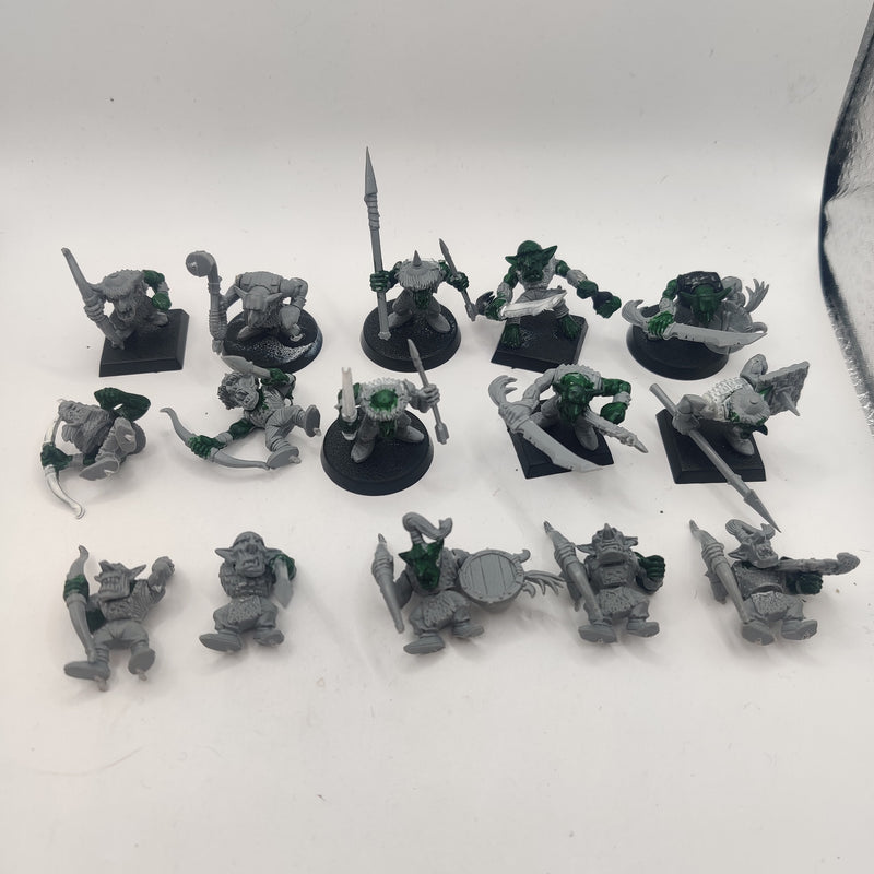 Warhammer Fantasy Goblin Warriors x15 AW240-0327