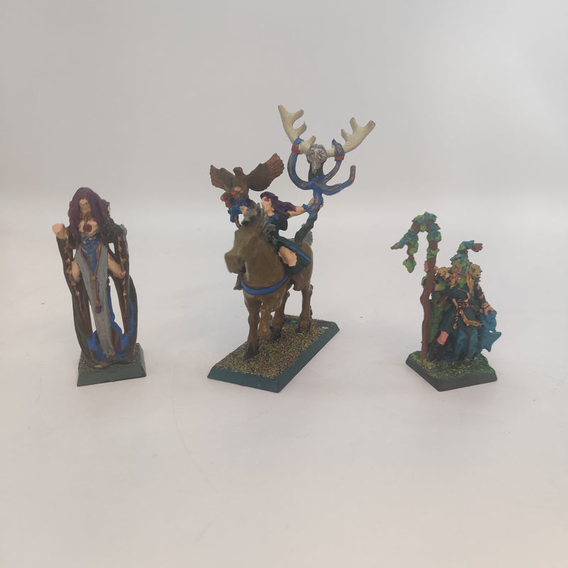 Warhammer Fantasy Wood Elf Spellsingers and Wizard on Horse AT128