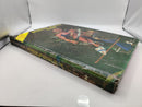 Advanced Dungeons & Dragons Dungeon Masters Guide BD257