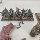 Warhammer Fantasy Vampire Counts Bundle Winged Vampire and Wight King BA193