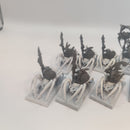 Warhammer Fantasy Night Goblin Spider Riders x12 AJ085
