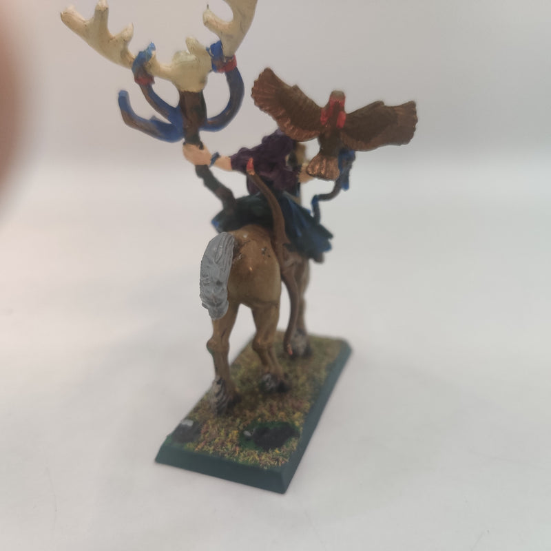 Warhammer Fantasy Wood Elf Spellsingers and Wizard on Horse AT128