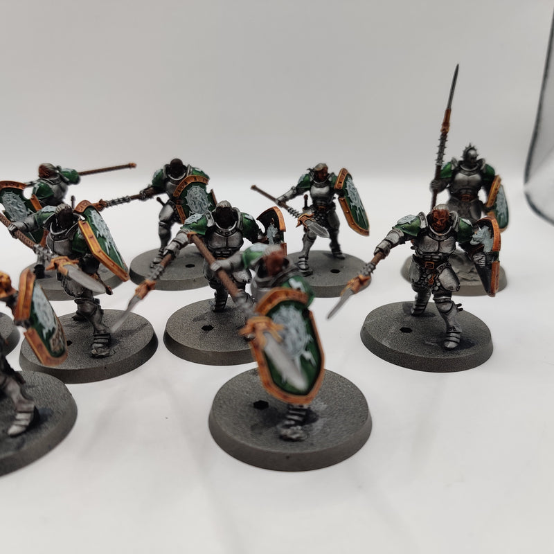 Age of Sigmar Stormcast Eternals Vindicators x12 - Painted AT102