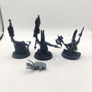 Age of Sigmar Fyreslayers Runemaster, Doomseeker and Battlesmith AT029